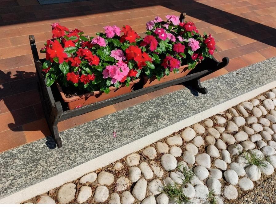 Skylab Hotel Gozzano Екстериор снимка